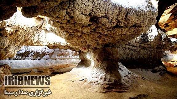 شگفتیهای کتله خور 120 میلیون ساله