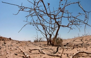 قصه تلخ بحران کم آبی