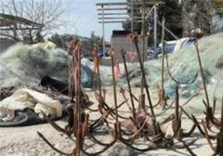 جمعآوری 6 هزار 500 رشته دام ماهیان استخوانی درجویبار جمعآوری 6 هزار 500 رشته دام ماهیان استخوانی درجویبار