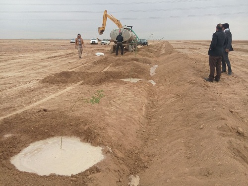 نهالکاری کانون‌ های بحرانی ریزگردها در شهرستان کارون