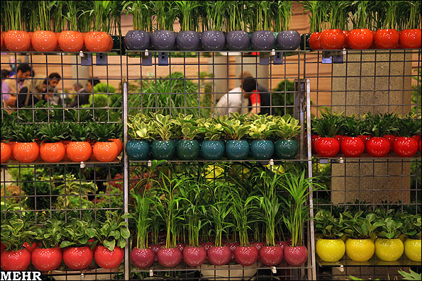 بررسی اقتصادی صنعت گل و گیاهان زینتی در ایران