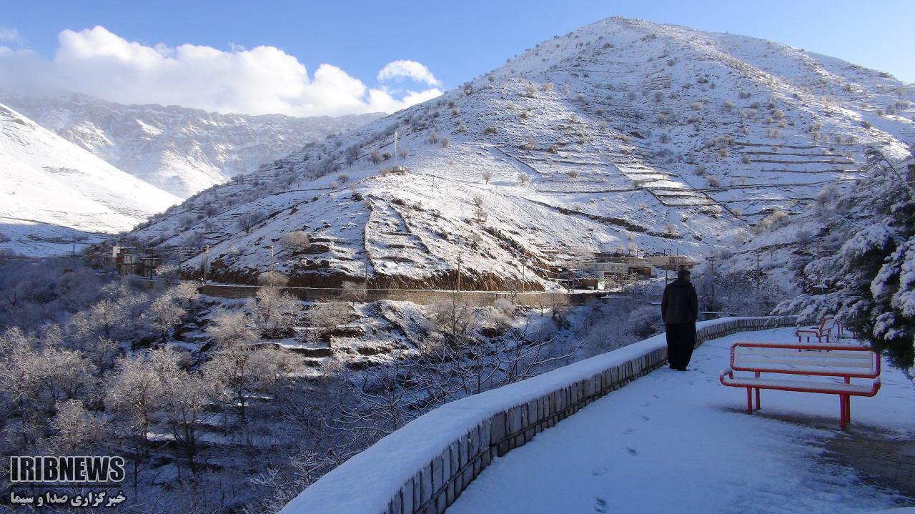 بارش برف امروز در شهرستان پاوه + فیلم