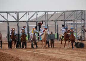 شرکت چهار اسب استان در کورس اسبدوانی گنبد