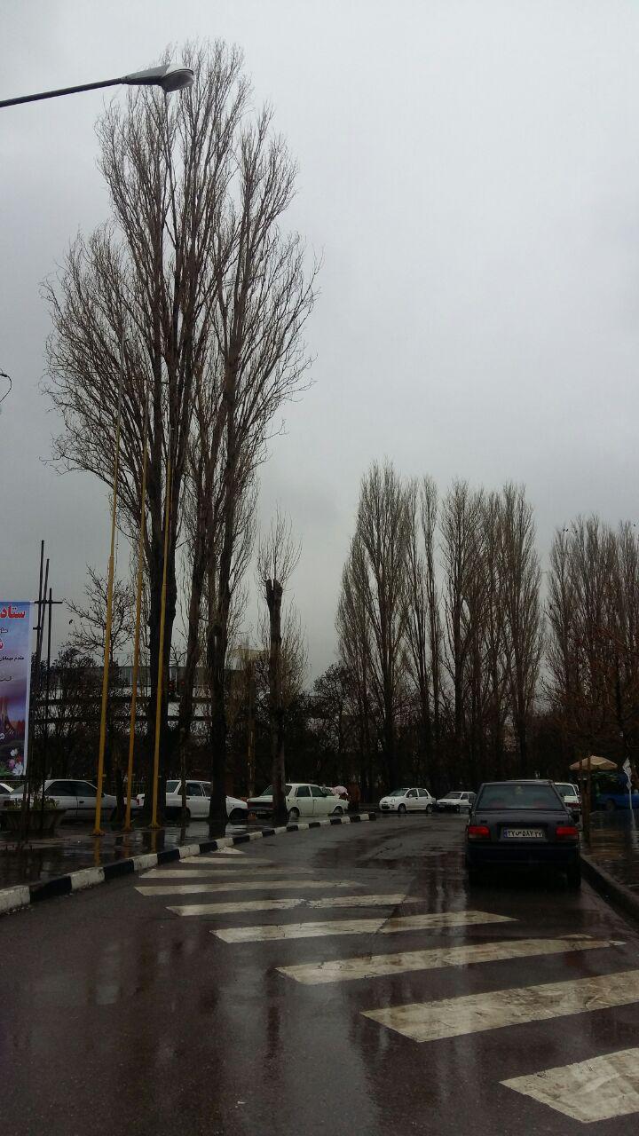 بارش باران بهاری در مهاباد