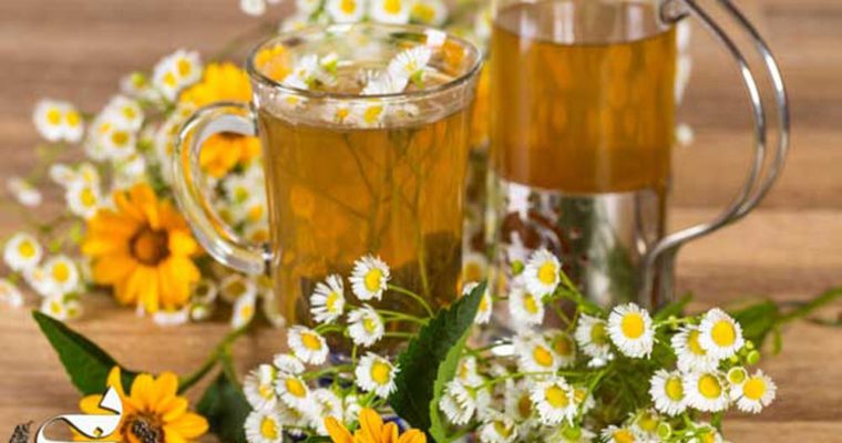 تیر خلاص بابونه به میگرن