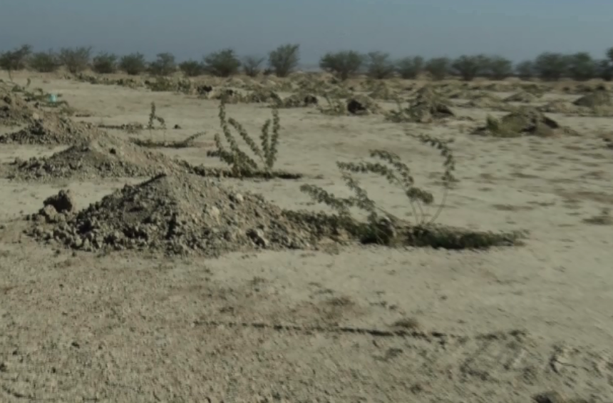 گزارش مکتوب...گردِ خاک بر چهره خوزستان