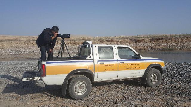 بیماری آنفلوانزای فوق حاد پرندگان در عرصه‌های طبیعی دیده نشد