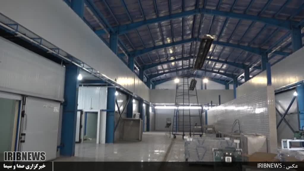 صادرات سالانه 5 میلیون دلار فراورده های مرغی در شهرستان نمین صادرات سالانه 5 میلیون دلار فراورده های مرغی در شهرستان نمین