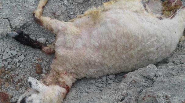 از سقوط هواپیما تا مصدومیت به علت نشتی راکتور از سقوط هواپیما تا مصدومیت به علت نشتی راکتور