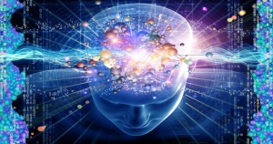 ۱۷حقیقت علمی که بسیاری از افراد نمی دانند