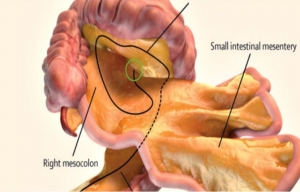 ۱۷حقیقت علمی که بسیاری از افراد نمی دانند