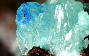 ۱۷حقیقت علمی که بسیاری از افراد نمی دانند