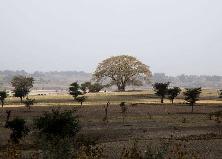تصاویر سفر به کشورهزار رنگ آفریقایی