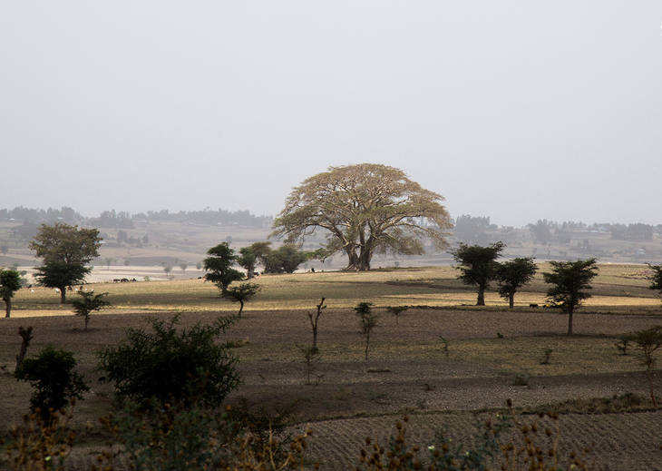 تصاویر سفر به کشورهزار رنگ آفریقایی