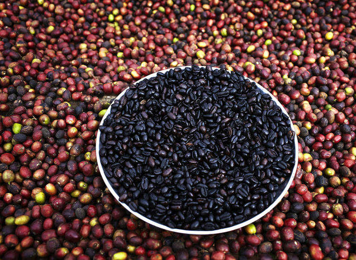 تصاویر سفر به کشورهزار رنگ آفریقایی