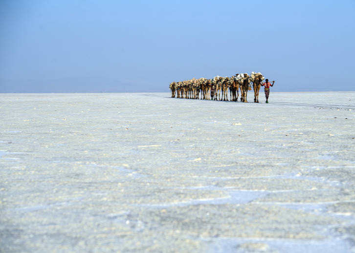 تصاویر سفر به کشورهزار رنگ آفریقایی