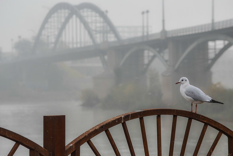 گرد و غبار 7 برابر حد مجاز در اهواز گرد و غبار 7 برابر حد مجاز در اهواز