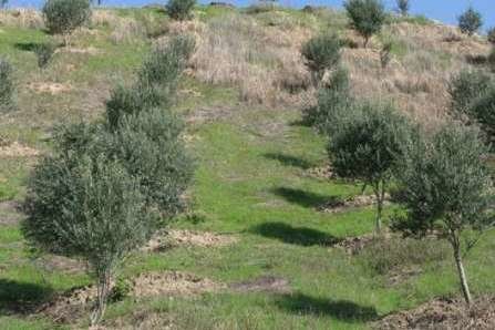 رفع تصرف 174 و نیم هکتار از اراضی ملی خراسان شمالی