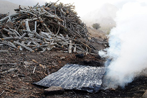 تخریب 20 کارگاه تولید ذغال در روستای همت اباد شهرستان نجف آباد تخریب 20 کارگاه تولید ذغال در روستای همت اباد شهرستان نجف آباد