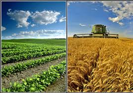 اعطای تسهیلات ویژه به کشاورزان سنندجی