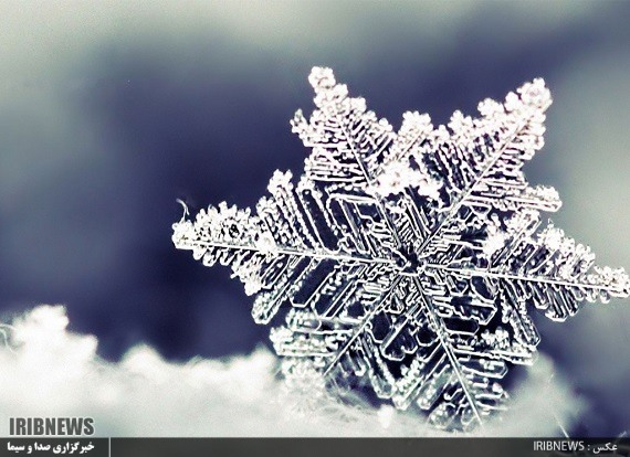 کاهش شدید دما و بارش برف در اردبیل