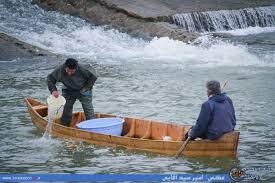 رونمایی از طرح ترویجی تکثیر طبیعی ماهی سفید