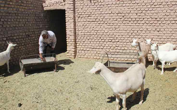 افزایش 4.5 برابری اعطای تسهیلات به مشاغل خانگی