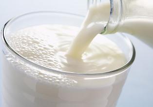 تولید سالانه 11 هزار تن شیر در تنکابن