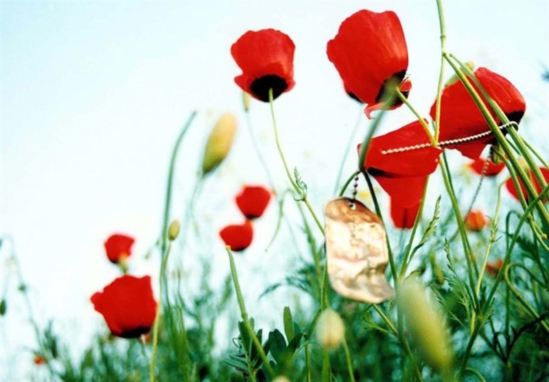 تشییع پیکر پاک شهید علی مرتضایی جانباز ۷۰ درصد در نجف آباد