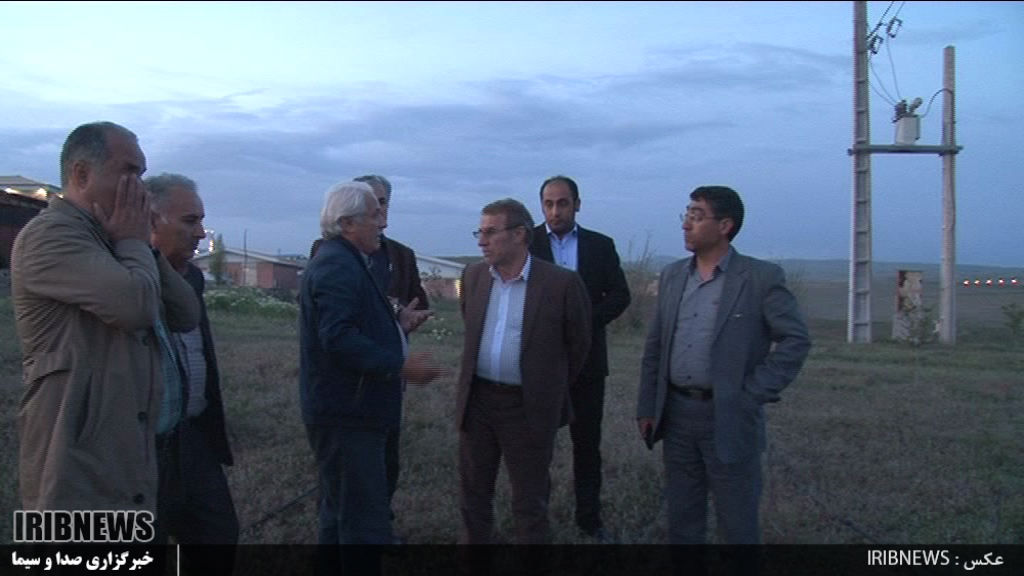 تولید سالانه 14 تن گیاه دارویی در نمین