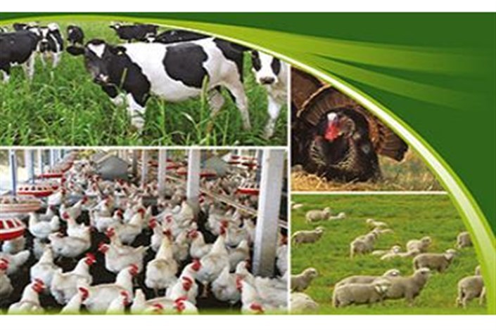 برپایی چهاردهمین نمایشگاه بین&zwnj;المللی دام و طیور