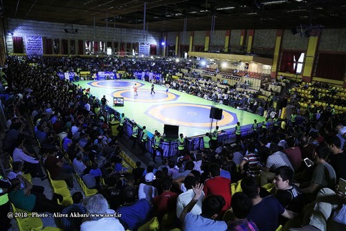 قدردانی فدراسیون کشتی از هواداران