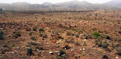  افت 1 متر و 12 سانتی متری آب دشت ازغند  مه ولات