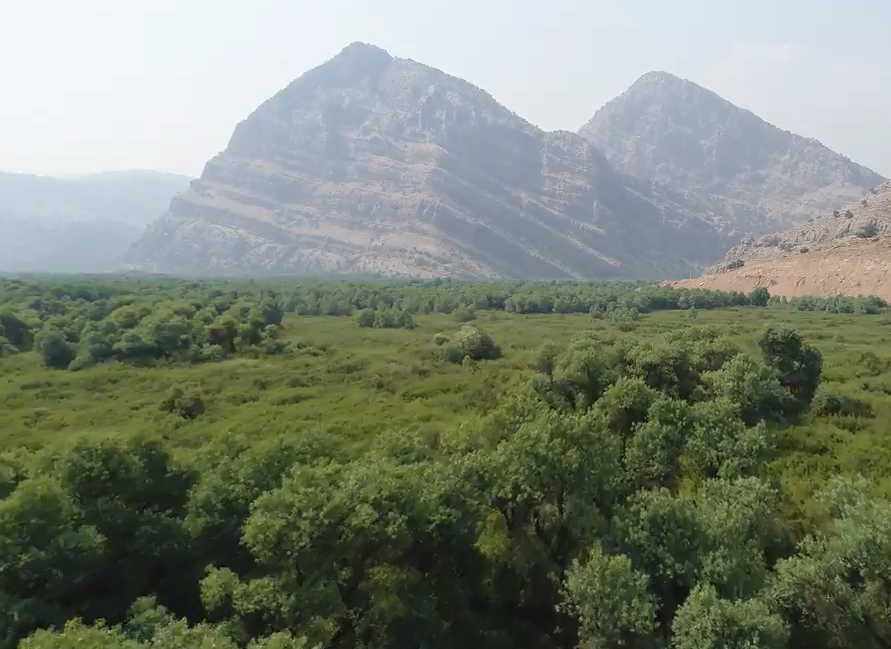 کوچ رسم دیرین هم پیمانان طبیعت