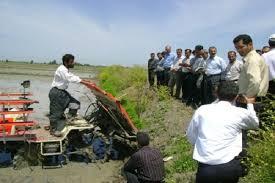 برگزاری ۱۷۵ دوره آموزشی ترویجی بخش کشاورزی در جویبار