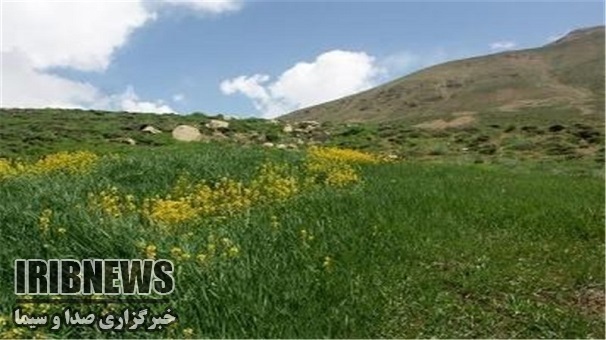 موج گرما  در زنجان