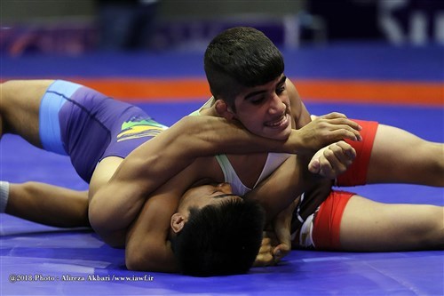 گزارش اتحادیه جهانی کشتی