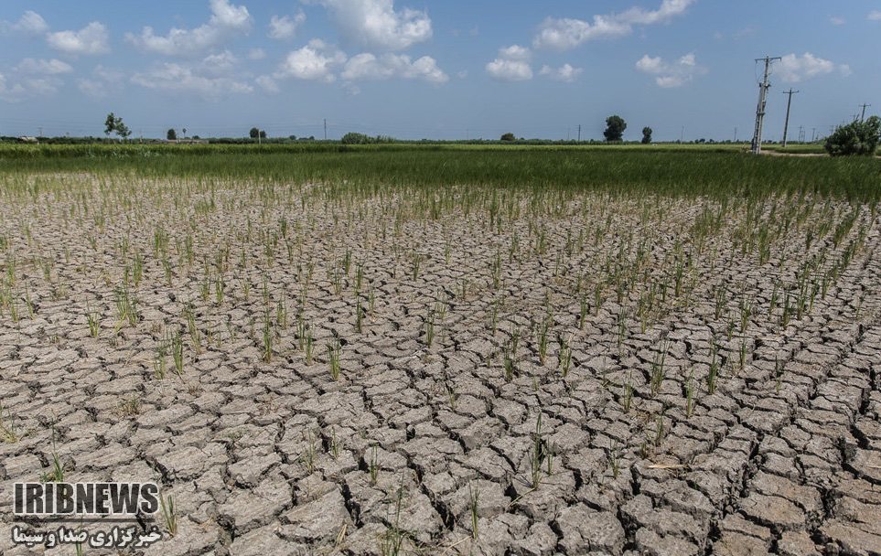 مدیریت مصرف آب کشاورزی در قالب تعاونی