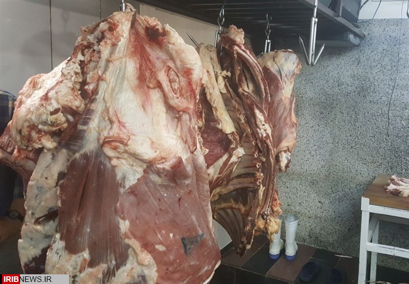 کشف بیش از ۱۴ تن گوشت غیر بهداشتی در کرمانشاه