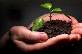 پذیرش روزانه ۷۰۰ معتاد در مراکز دانشگاه علوم پزشکی مشهد