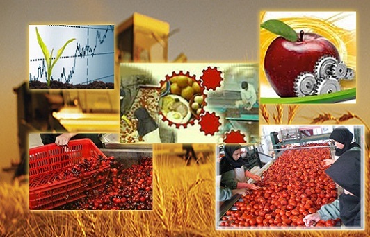 پرداخت بیش از هزار میلیارد ریال تسهیلات اشتغال روستایی در استان قزوین