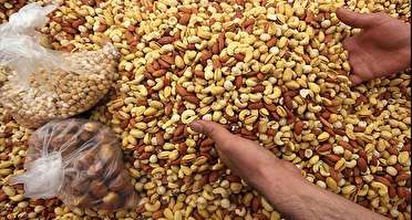 افتتاح نمایشگاه شب یلدا در قزوین افتتاح نمایشگاه شب یلدا در قزوین