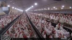 افتتاح دوطرح باحضور معاون وزیر جهاد کشاورزی در نمین افتتاح دوطرح باحضور معاون وزیر جهاد کشاورزی در نمین