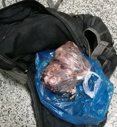 دستگیری شکارچیان غیرمجاز در مازندران