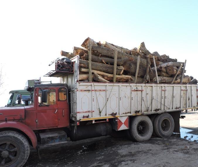 كشف یک محموله چوب قاچاق