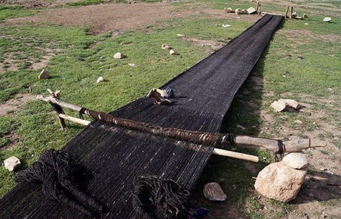 احیای ۲ رشته منسوخ شده صنایع دستی در فارس