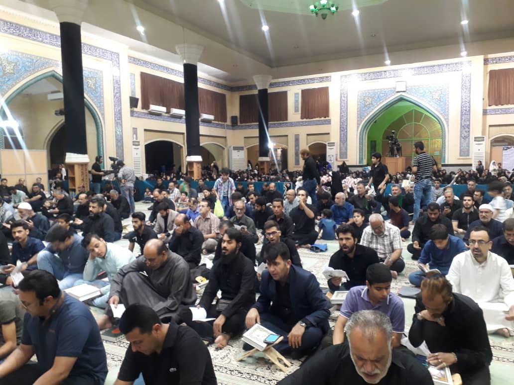 سرنوشت شب زنده داران نوشته شد