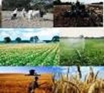 استان مرکزی،استان برتر کشور در تولیدات کشاورزی