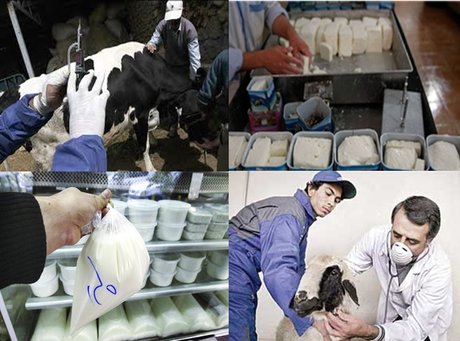 شناسایی ۱۲۴ کهگیلویه وبویراحمدی به تب مالت