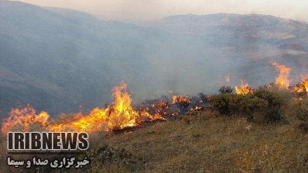 خطرحریق درجنگلها ومراتع خطرحریق درجنگلها ومراتع